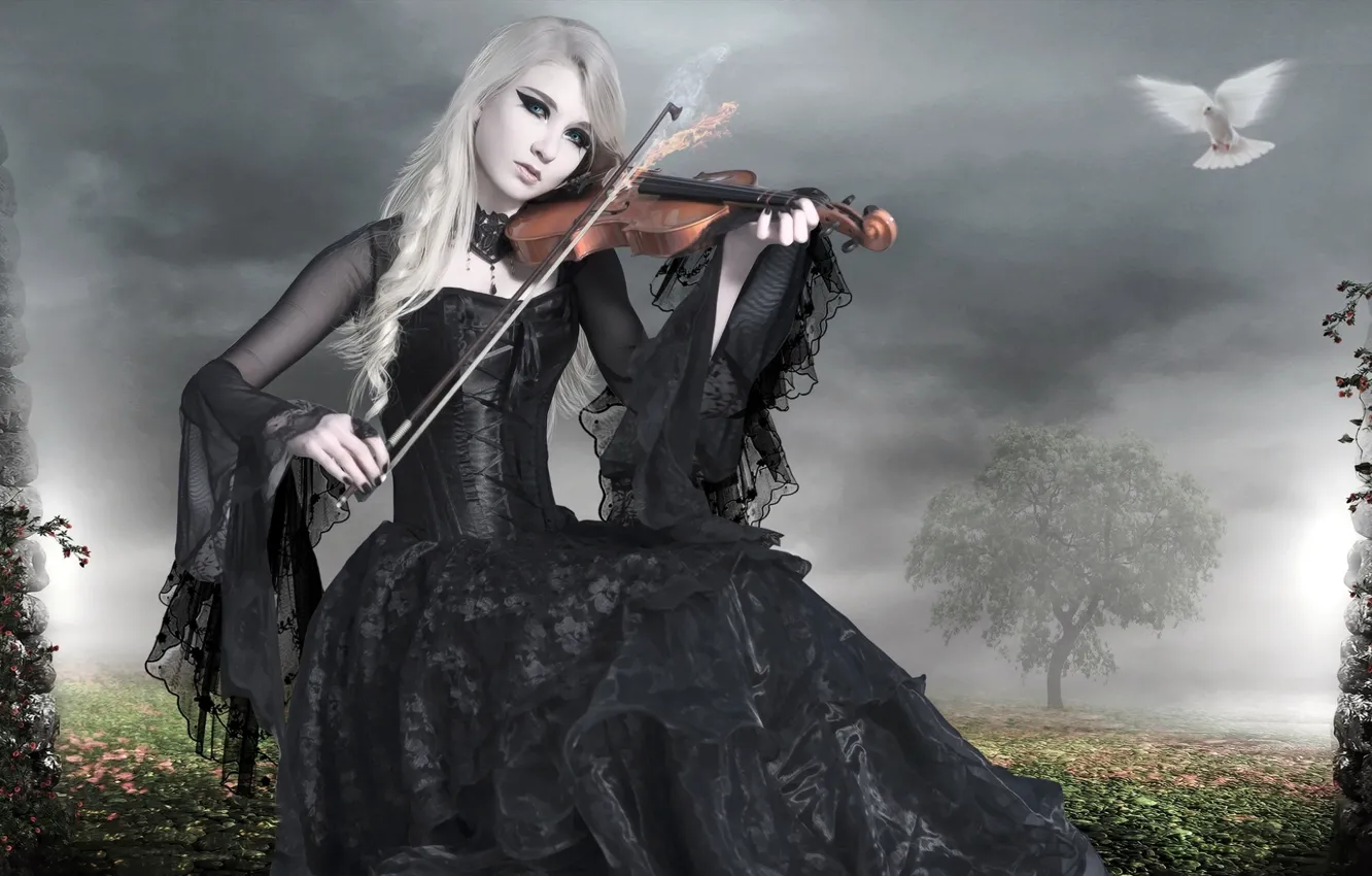 Photo wallpaper girl, lights, bird, violin