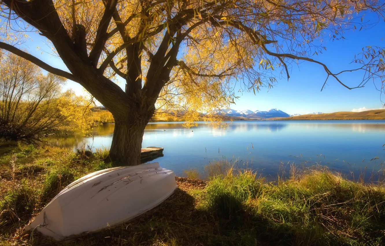 Photo wallpaper autumn, lake, tree, Boat