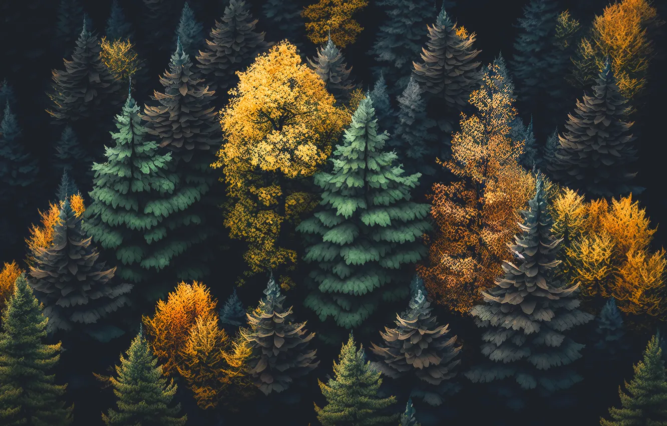 Photo wallpaper autumn, forest, landscape, colorful, dark, forest, trees, landscape