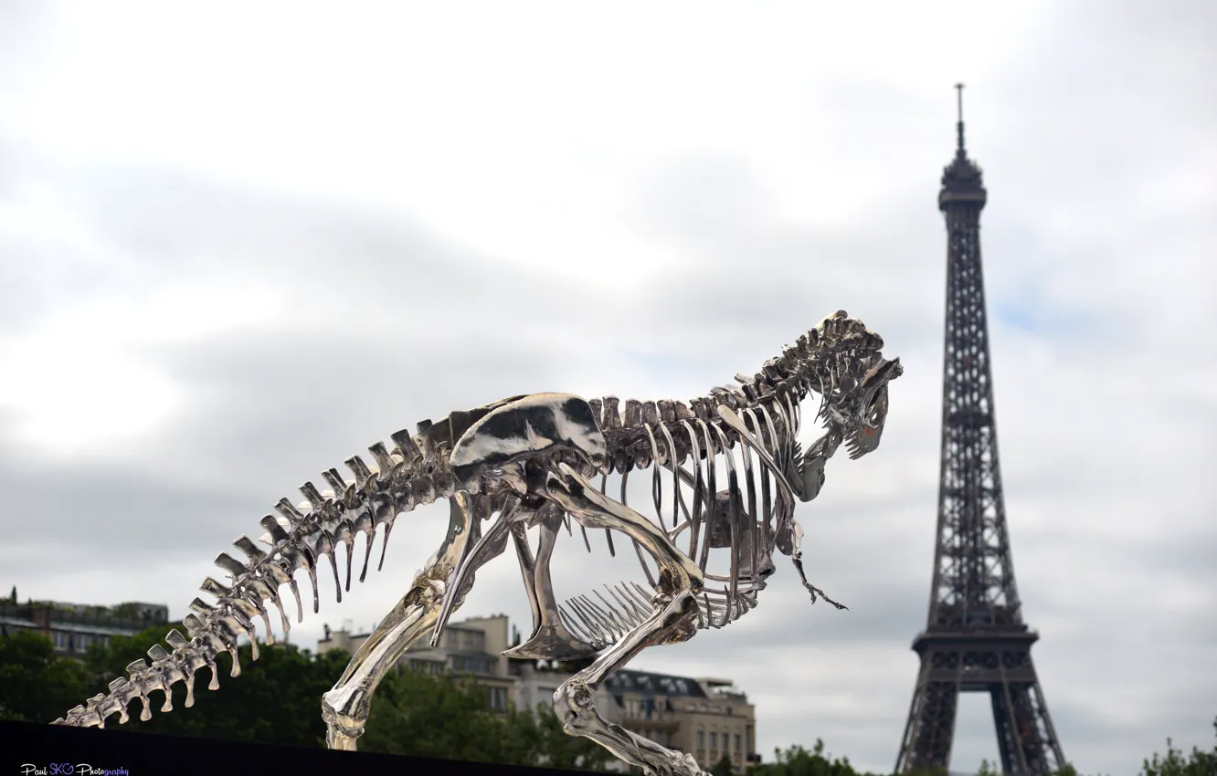 Photo wallpaper Paris, France, tour, toranosaurus, Eiffel, Dinosaurus