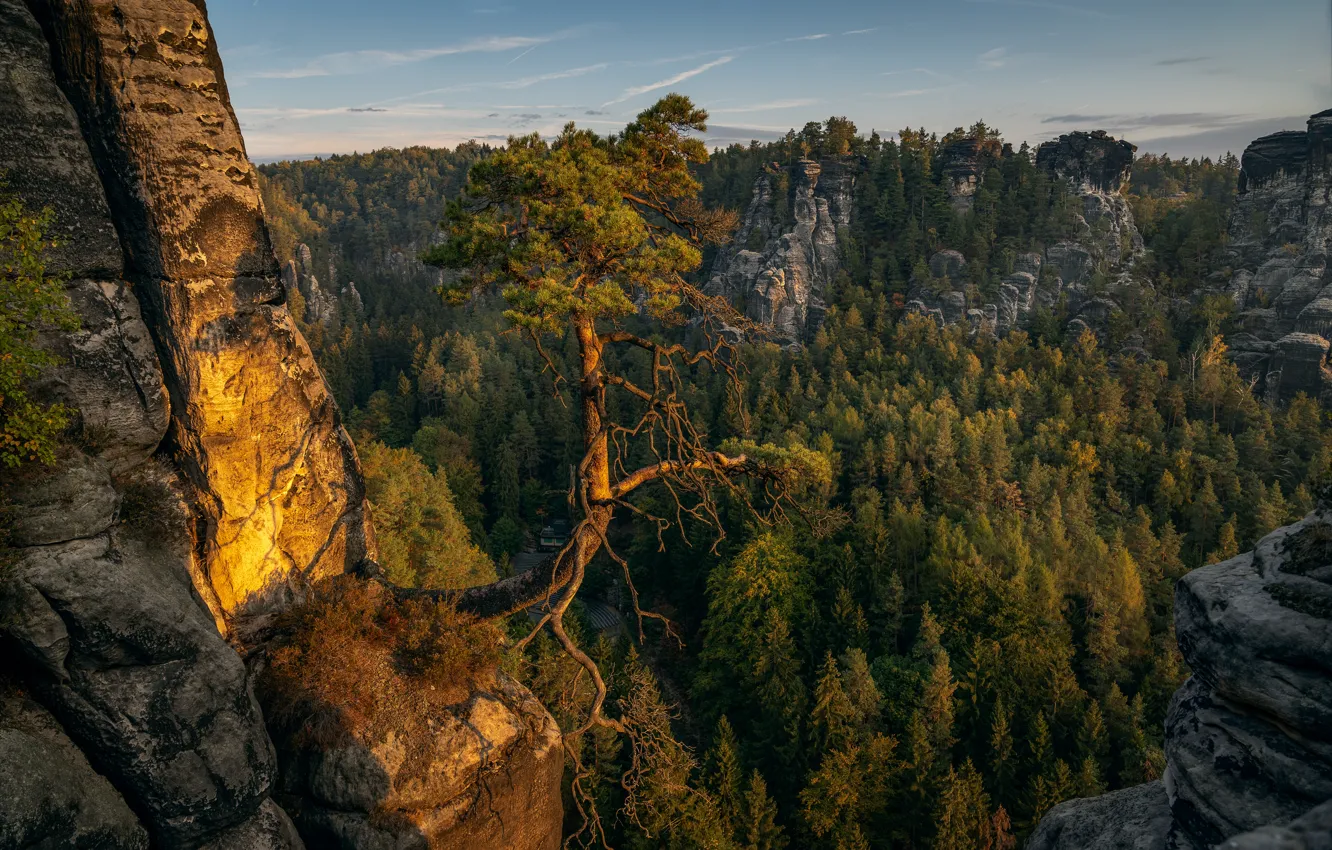 Photo wallpaper forest, trees, landscape, sunset, nature, rocks