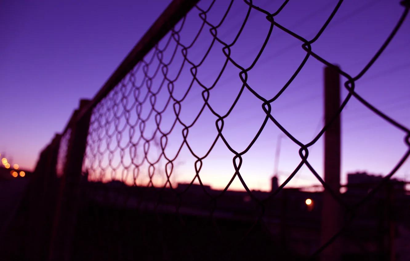 Photo wallpaper macro, sunset, mesh, The fence