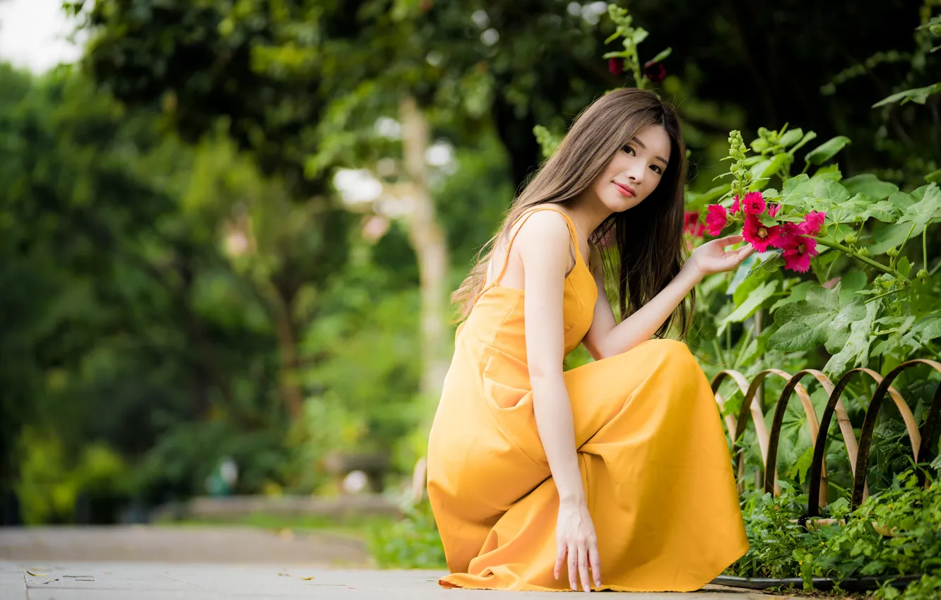 Photo wallpaper look, sweetheart, hair, dress, brown hair, Asian, sitting, bokeh