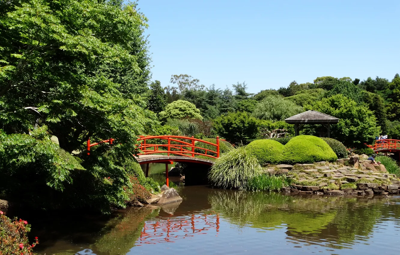 Photo wallpaper trees, bridge, pond, stones, garden, Australia, gazebo, the bushes