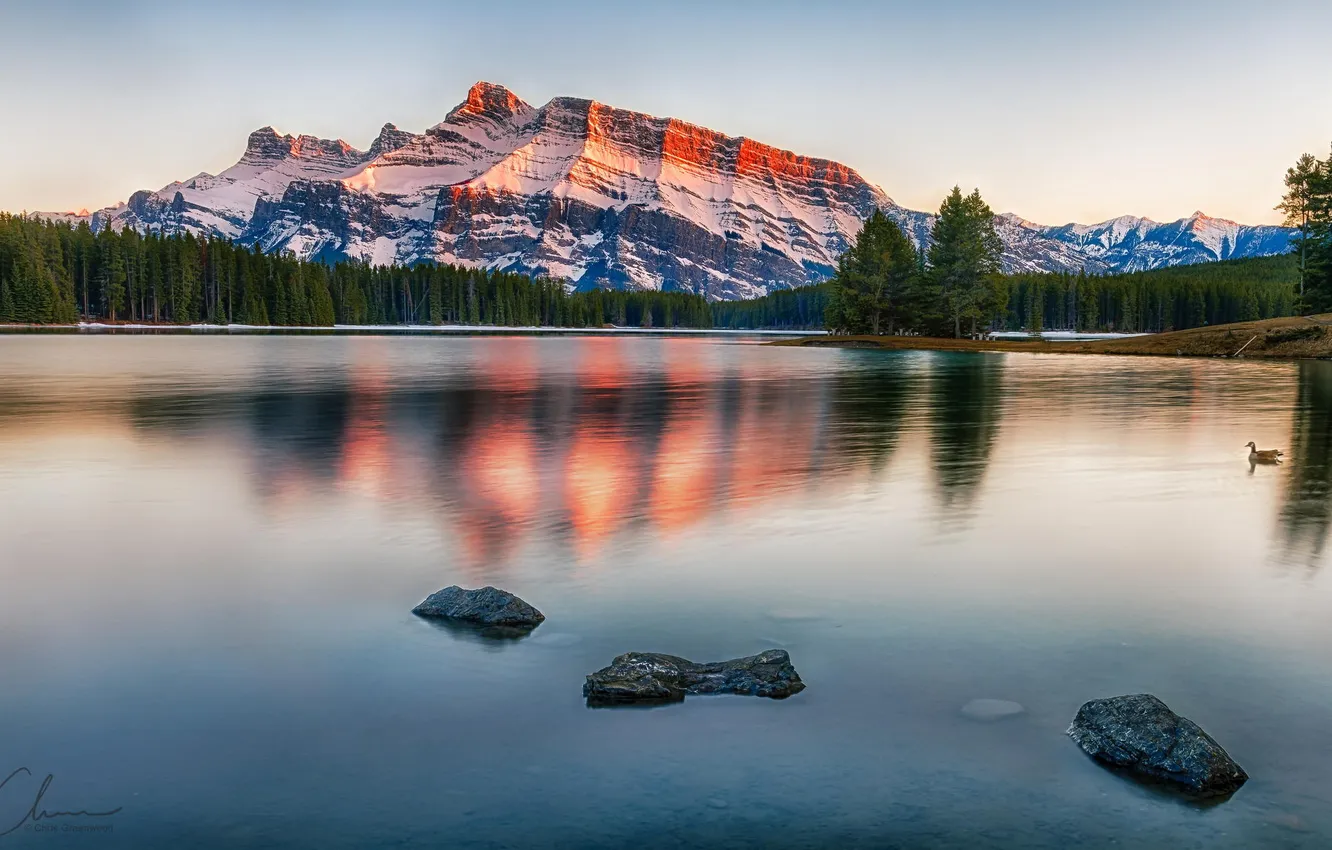 Photo wallpaper forest, mountains, nature, lake, reflection