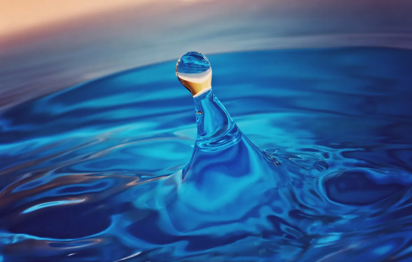Photo wallpaper water, drops, macro