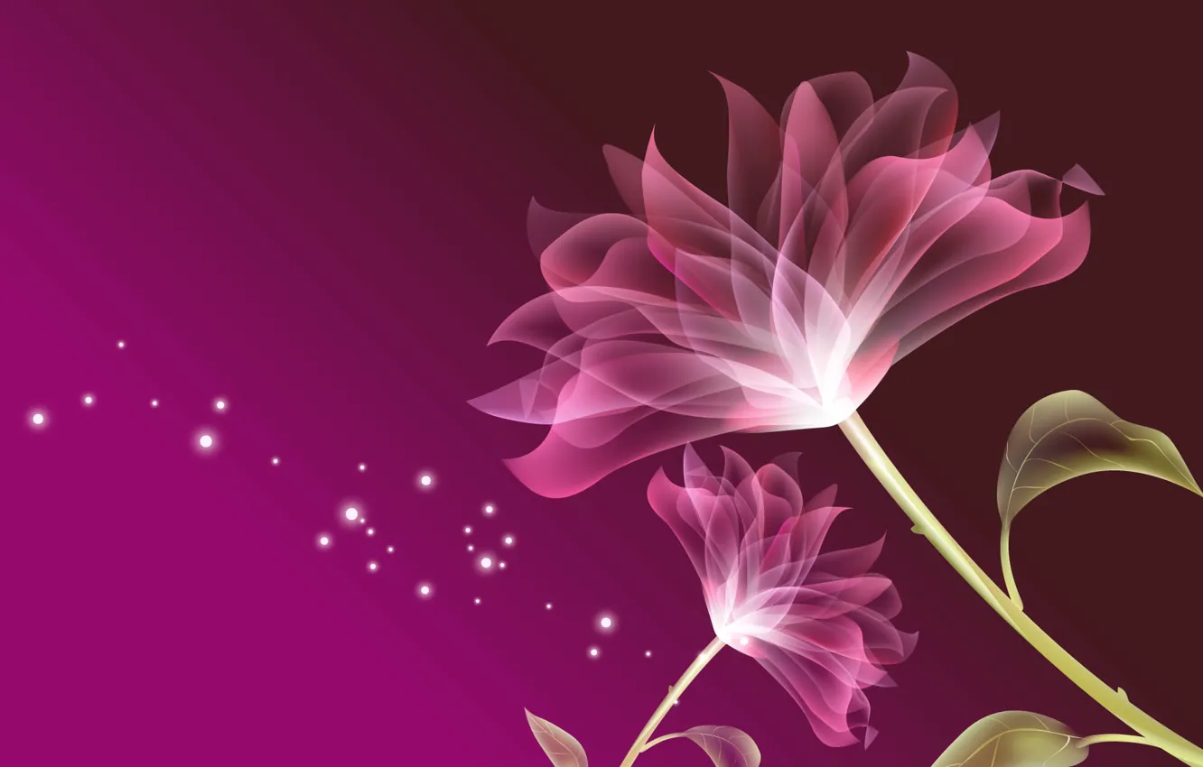 Photo wallpaper flower, nature, pink
