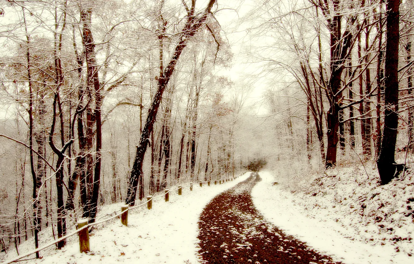 Photo wallpaper winter, snow, walk, path