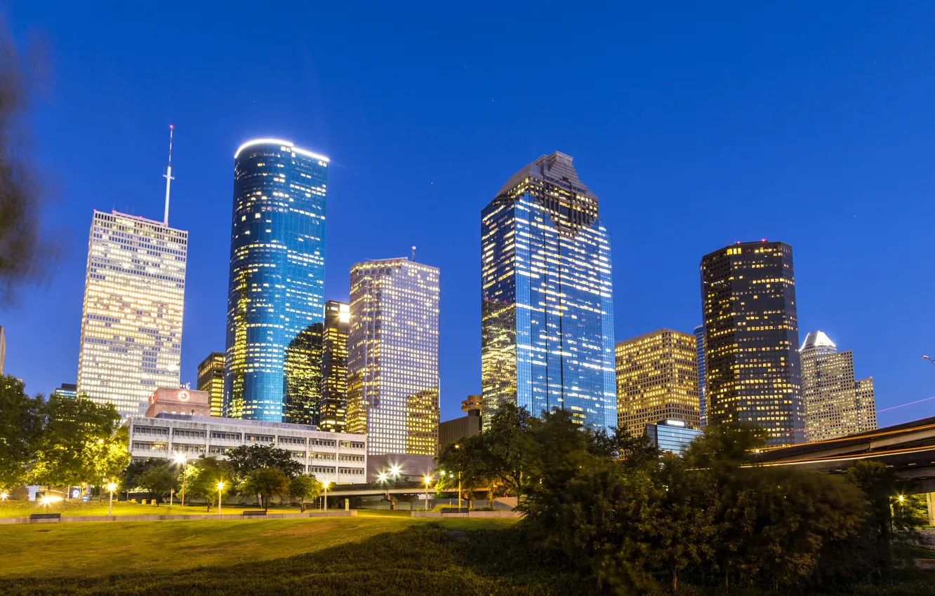 Photo wallpaper trees, bridge, lights, home, skyscrapers, the evening, lights, USA