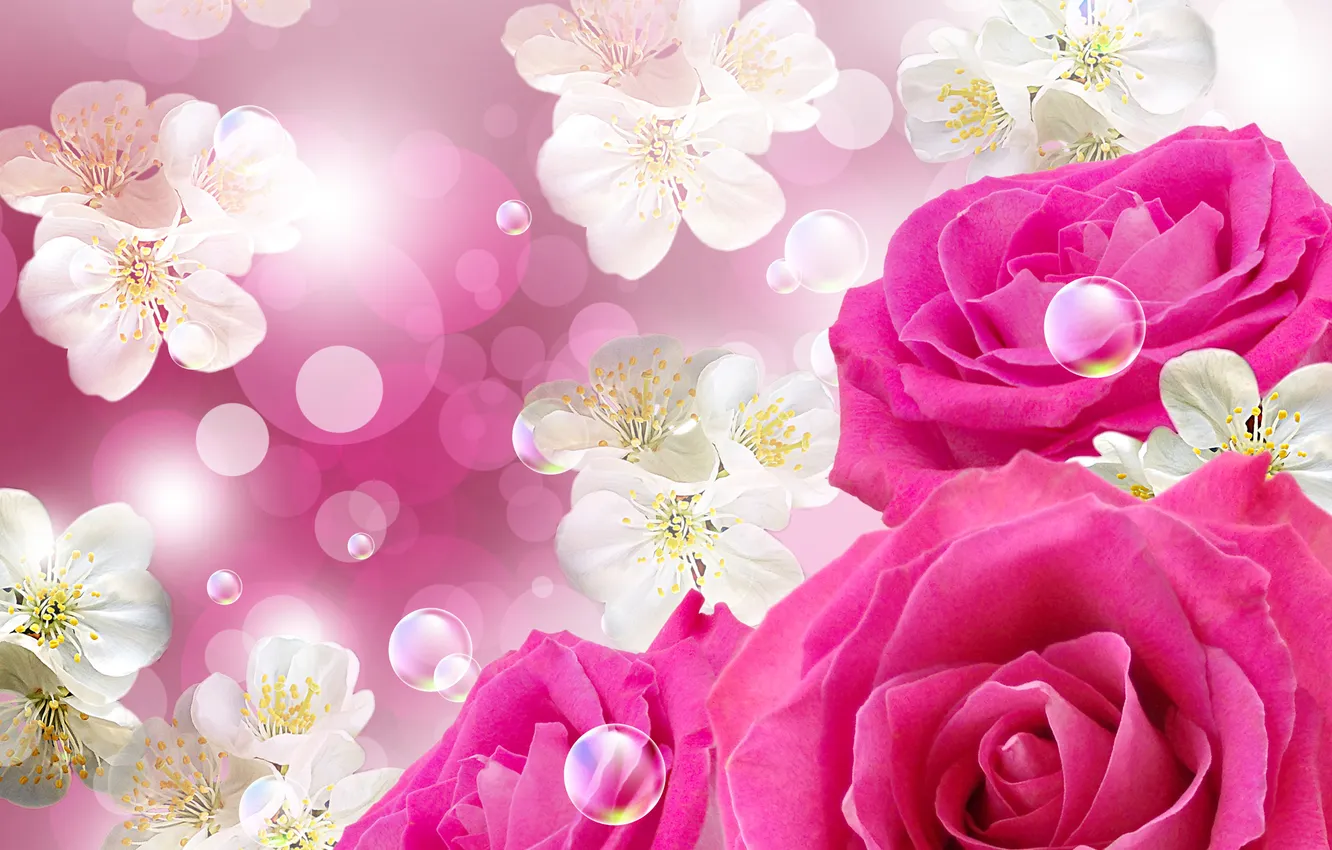 Photo wallpaper flowers, bubbles, bubbles, flowers, flowers, roses, roses roses