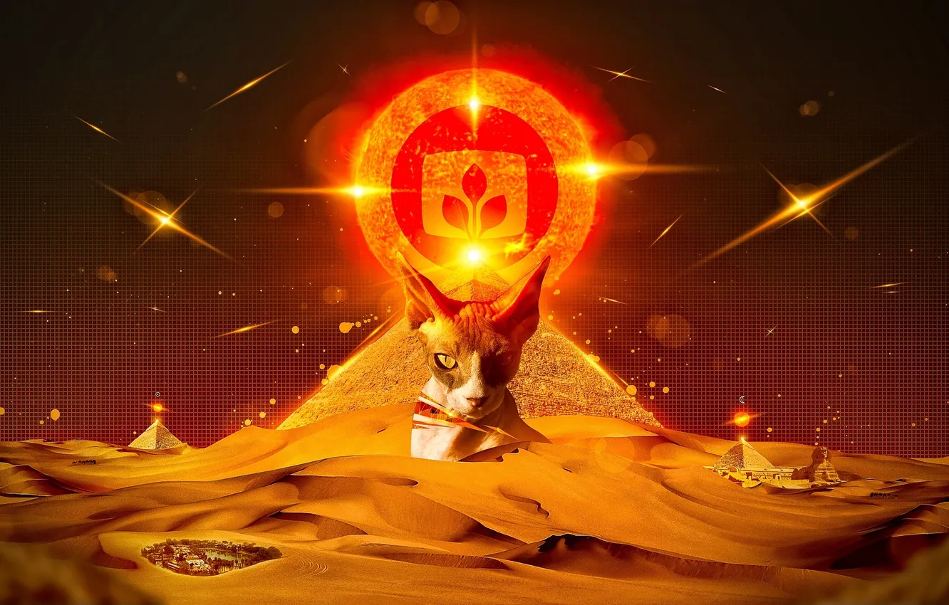 Photo wallpaper sand, cat, look, pyramid, emblem, desktopography, Sphinx