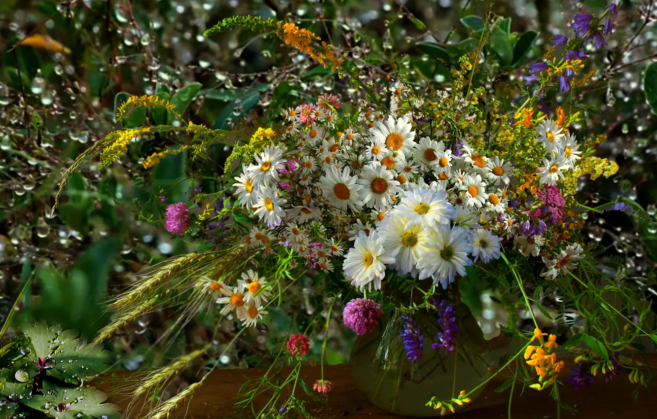 Photo wallpaper Rosa, chamomile, bouquet
