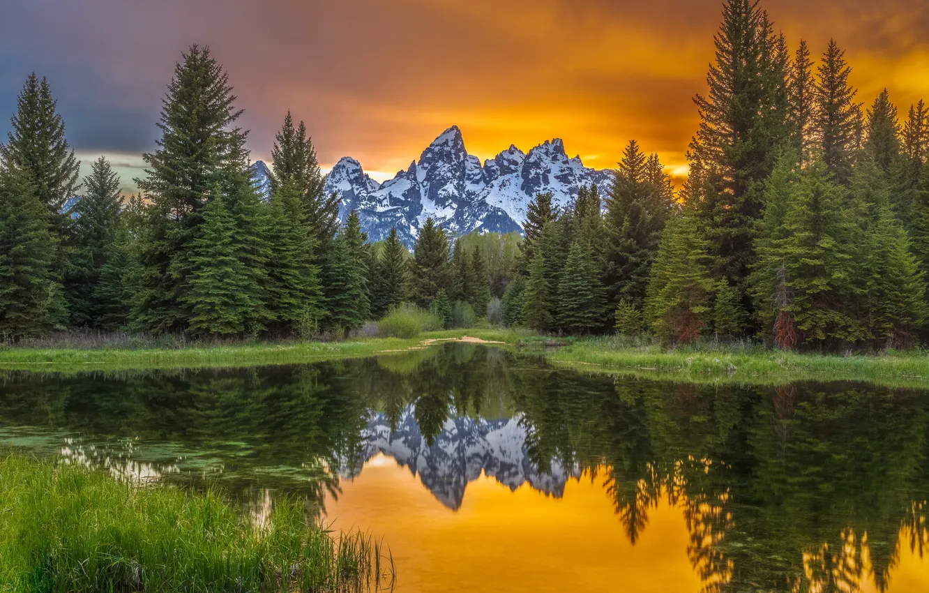 Photo wallpaper forest, the sky, sunset, mountains, lake, reflection, shore, tops