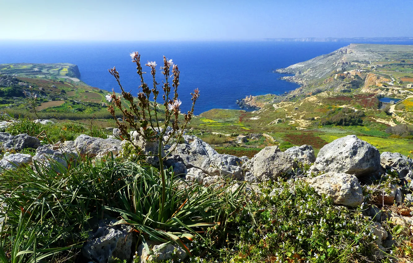 Photo wallpaper sea, the sky, stones, rocks, plant, Bay, Malta