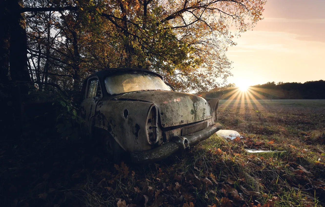 Photo wallpaper machine, light, scrap