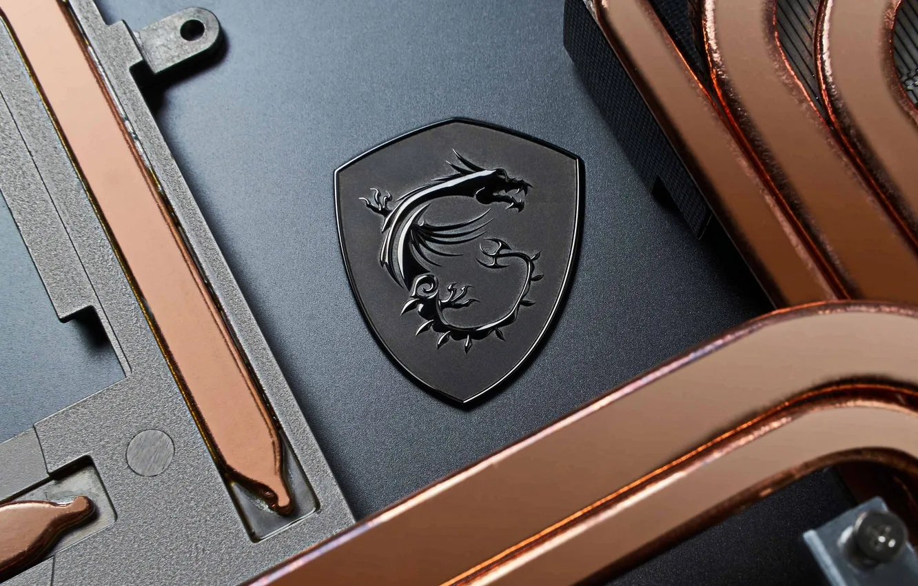 Photo wallpaper the dark background, dragon, logo, laptop, logo, brand, dragon, gaming