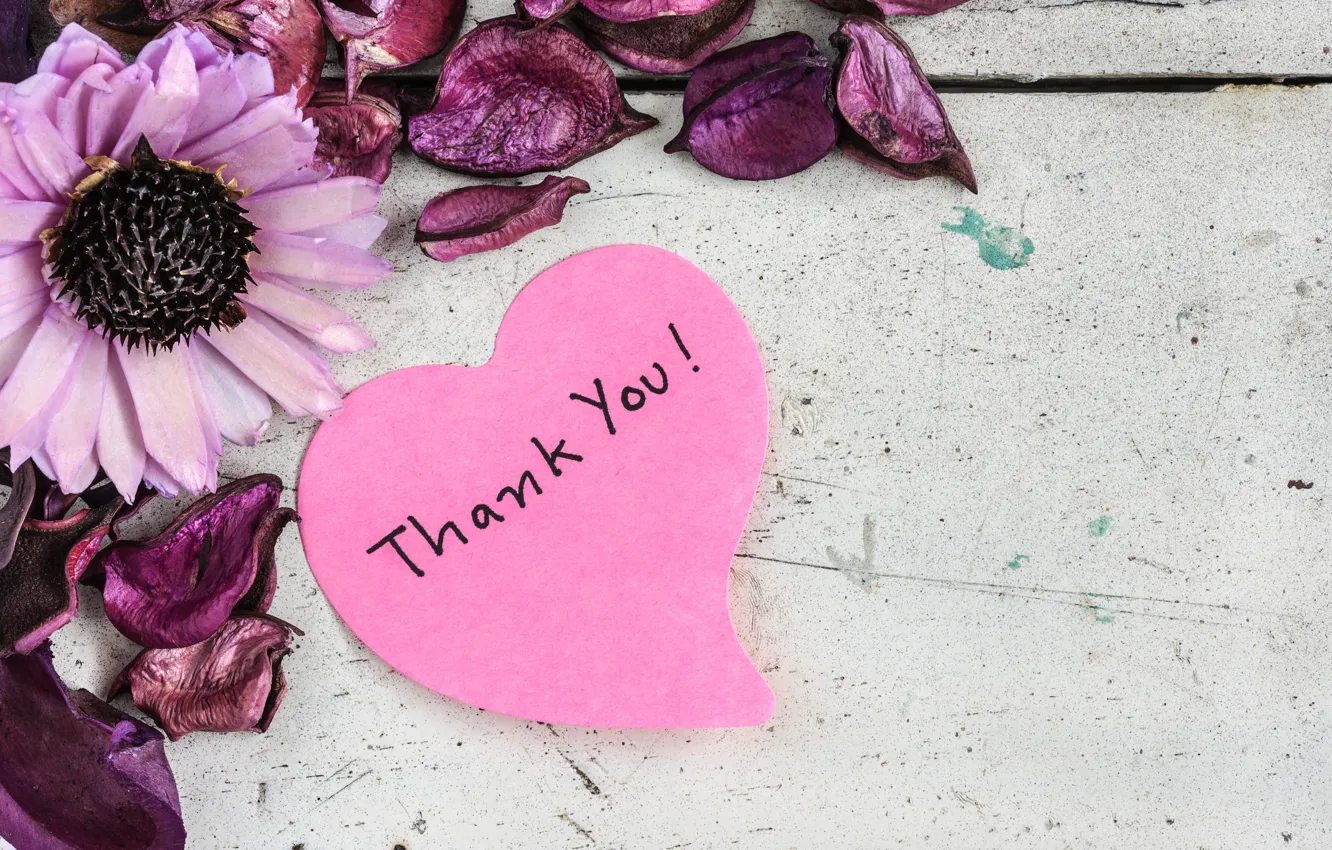 Photo wallpaper flowers, petals, hearts, Valentine's day