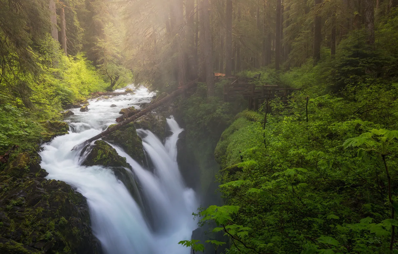 Photo wallpaper forest, river, waterfall, Washington, Washington, Olympic National Park, Sol Duc Falls, Sol Duc River