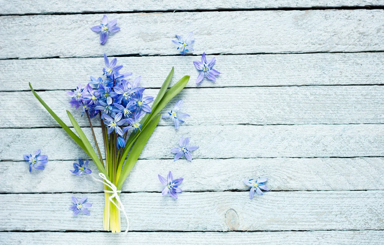 Photo wallpaper flowers, background, bouquet, violet