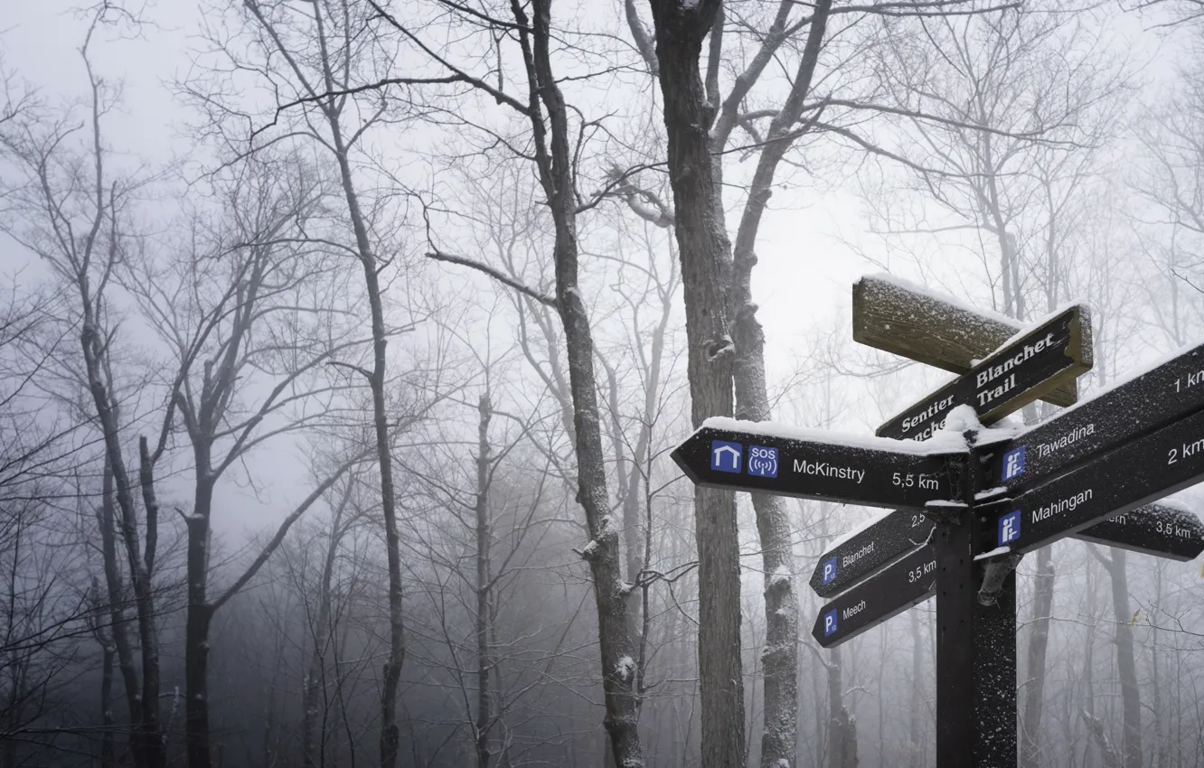 Photo wallpaper fog, background, index