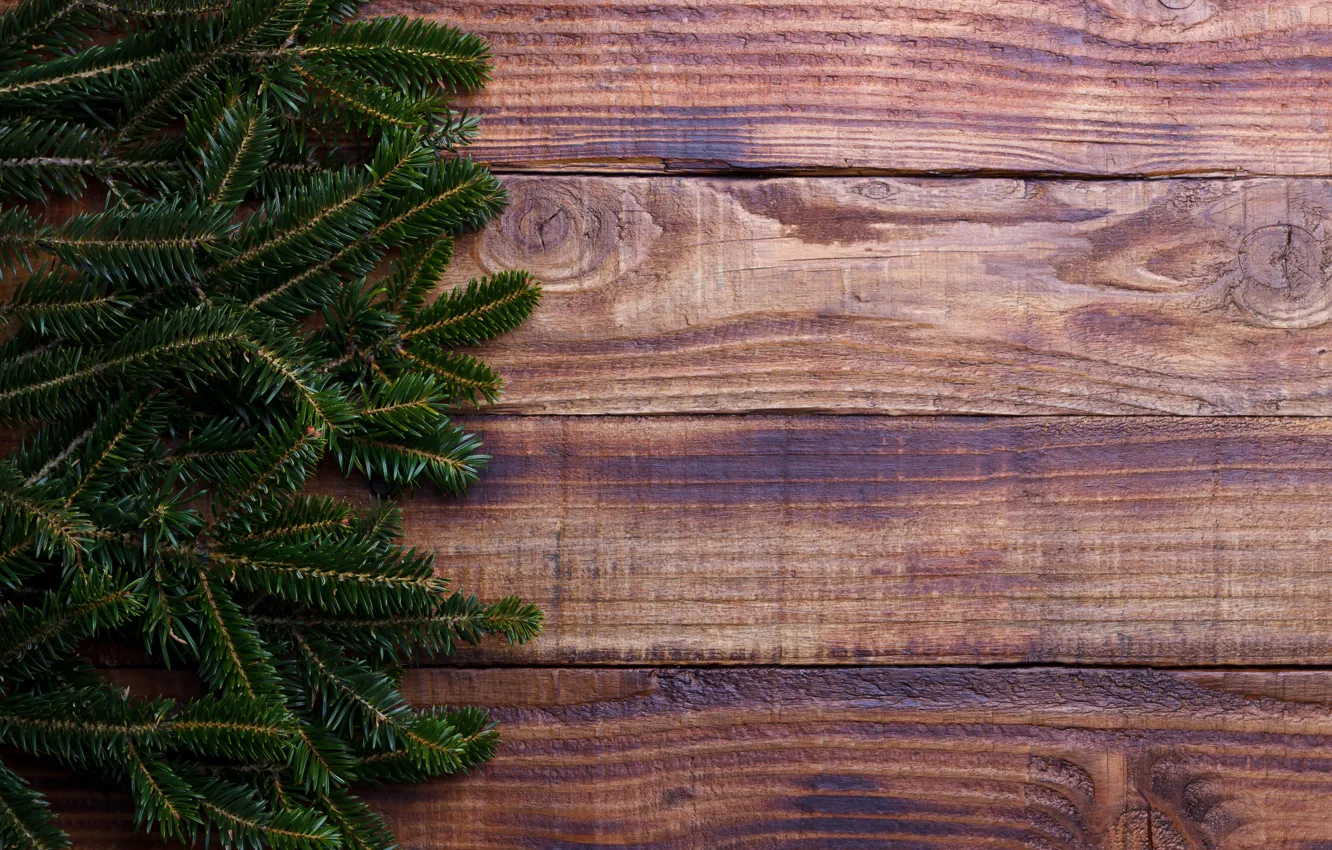 Photo wallpaper background, tree, Board, tree, Christmas, wood, background, fir tree