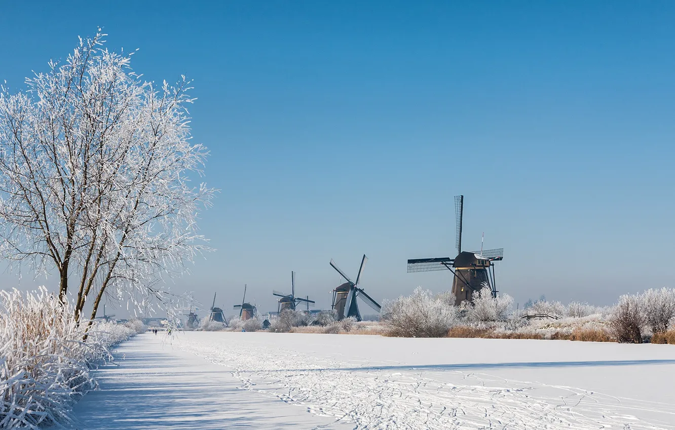 Photo wallpaper winter, frost, snow, Netherlands, windmill, Kinderdijk