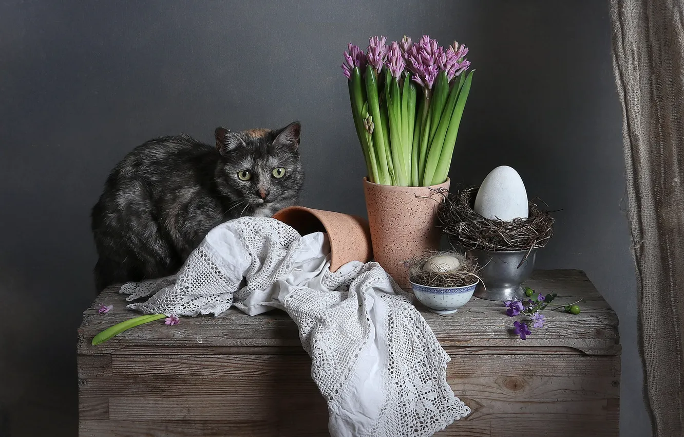 Photo wallpaper cat, cat, Board, egg, eggs, bouquet, spring, Easter