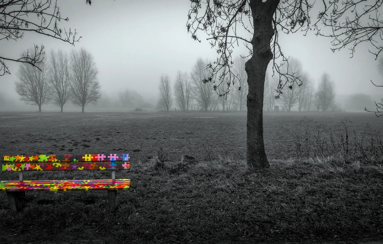 Photo wallpaper field, fog, bench