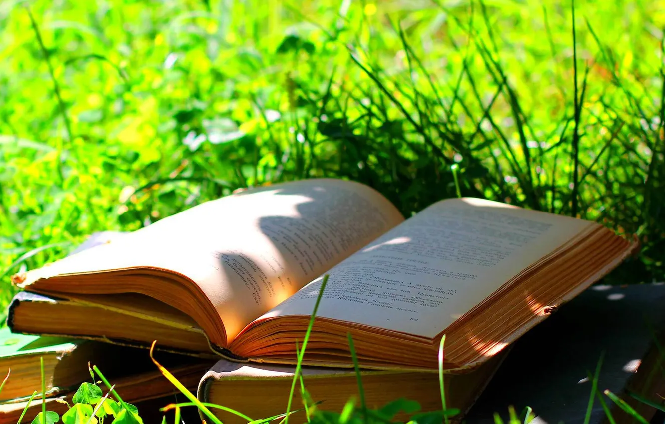 Photo wallpaper grass, nature, shadow, plants, book
