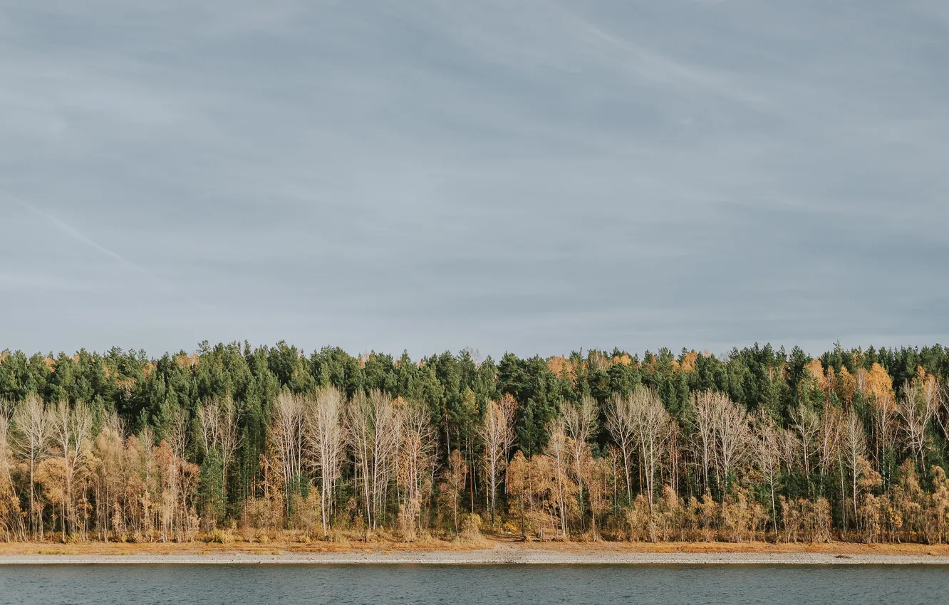 Photo wallpaper autumn, forest, the sky, nature, river