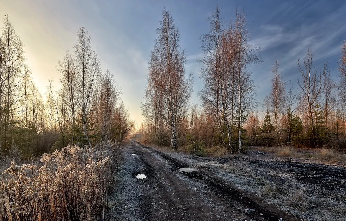Photo wallpaper frost, road, morning
