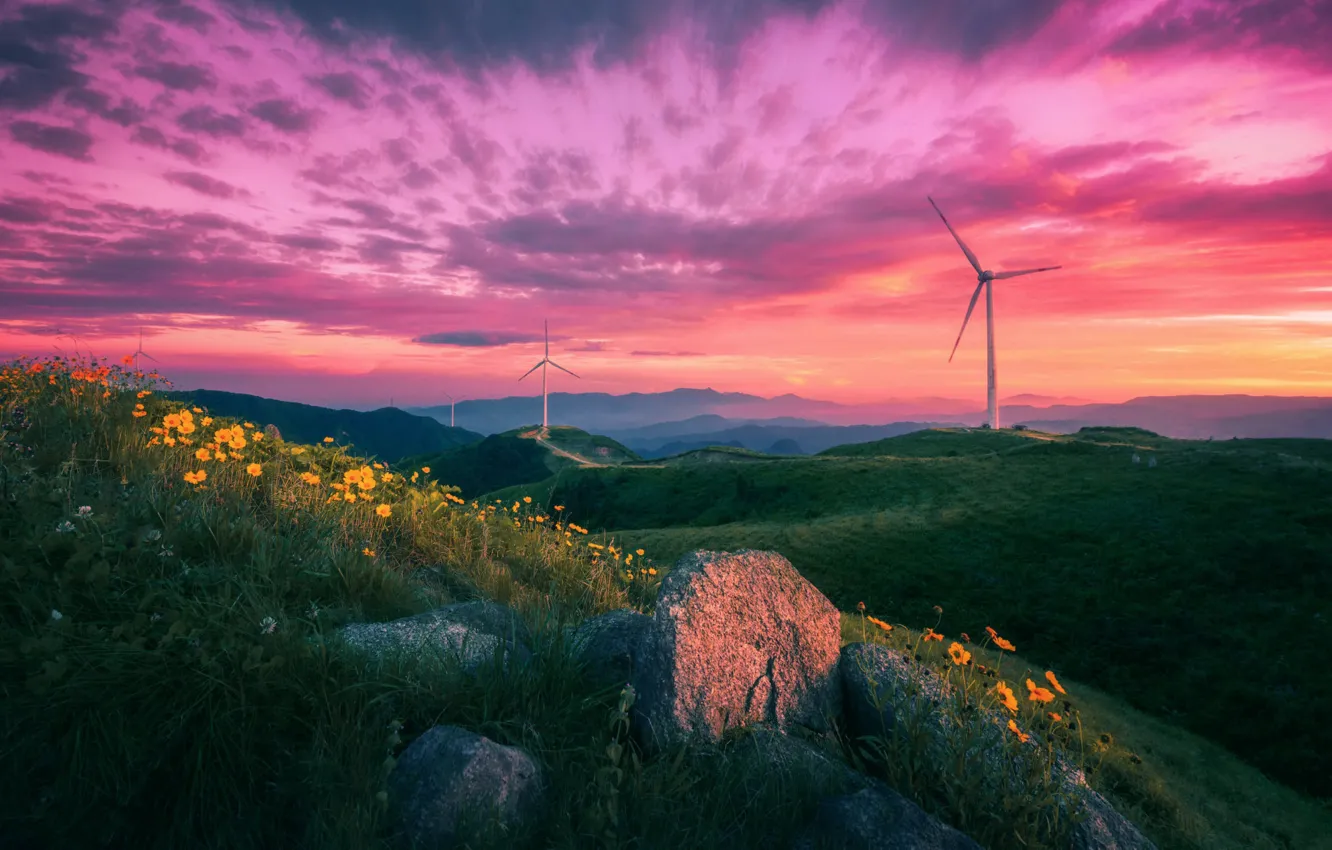 Photo wallpaper the sky, sunset, flowers, mountains, nature, windmills