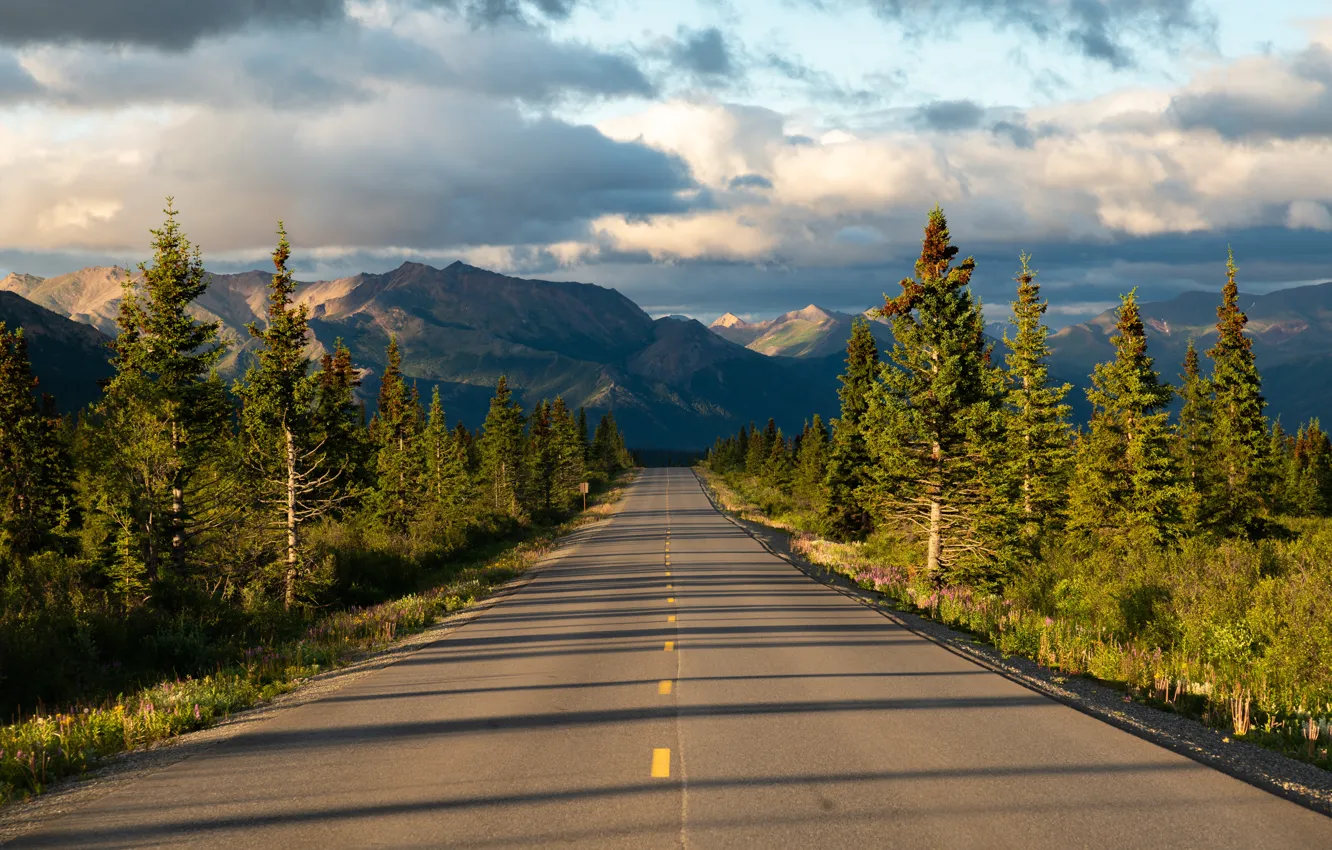 Photo wallpaper road, trees, mountains, Alaska