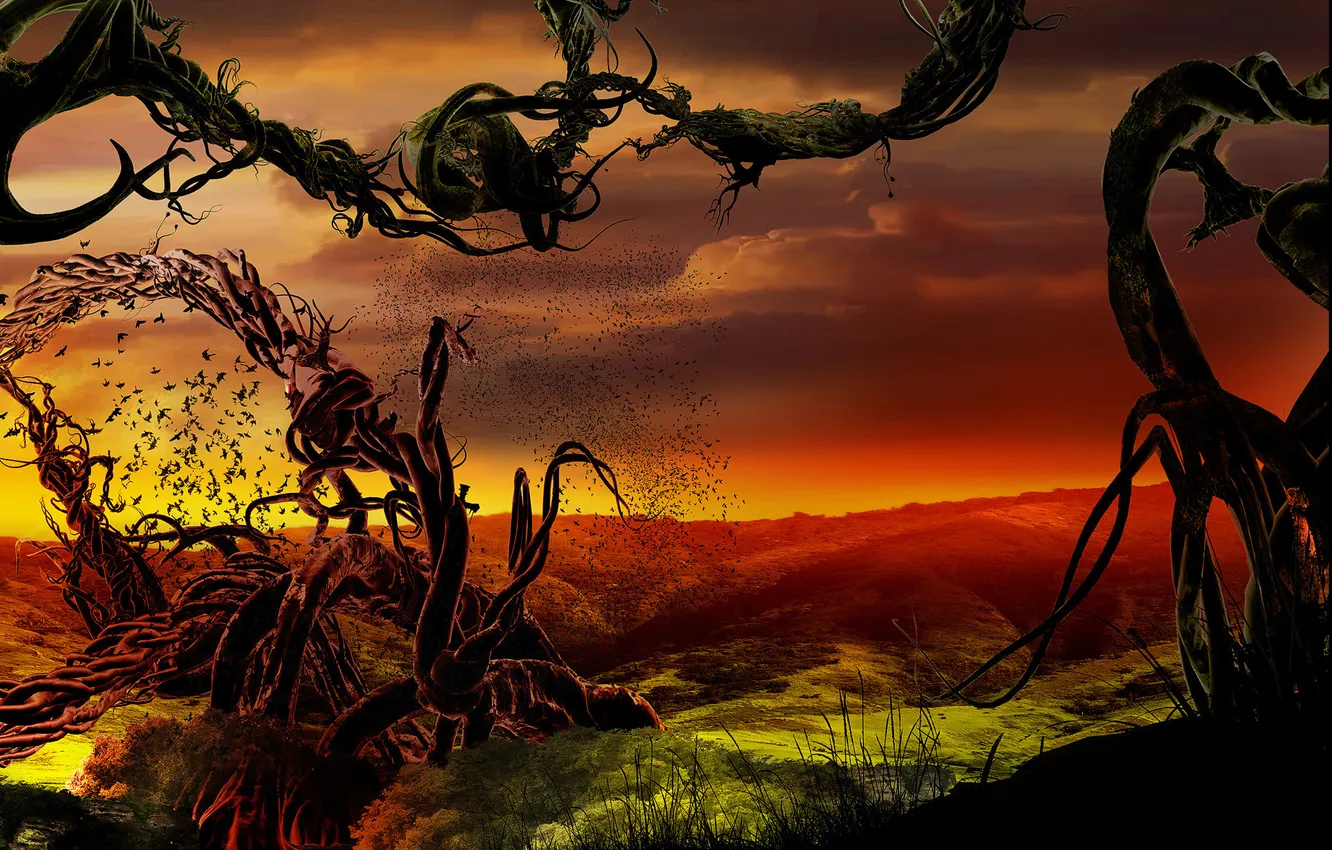 Photo wallpaper trees, bird, part2, DS desk