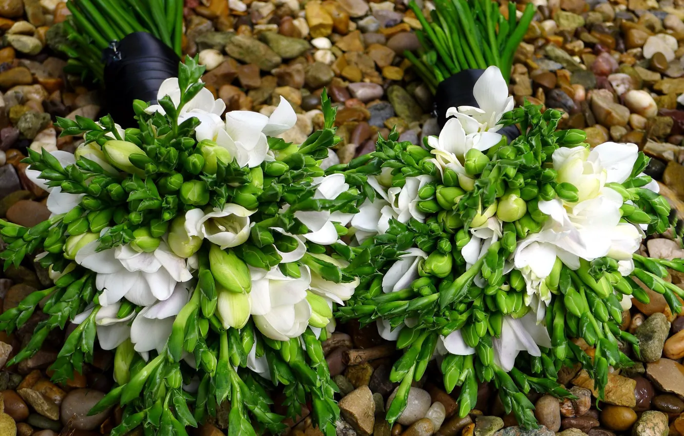 Photo wallpaper flowers, snowdrops, bouquets