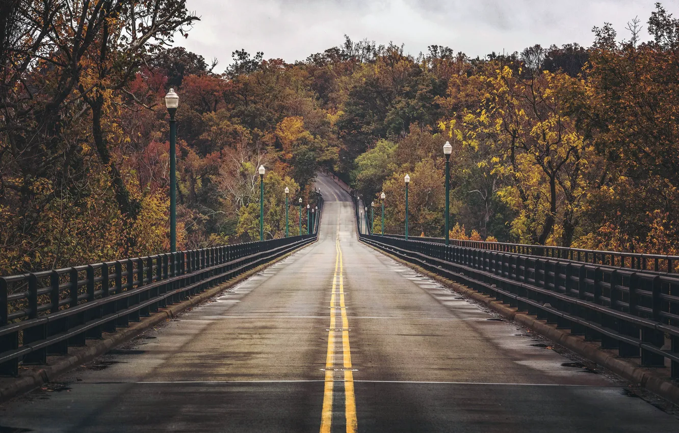 Photo wallpaper road, autumn, bridge