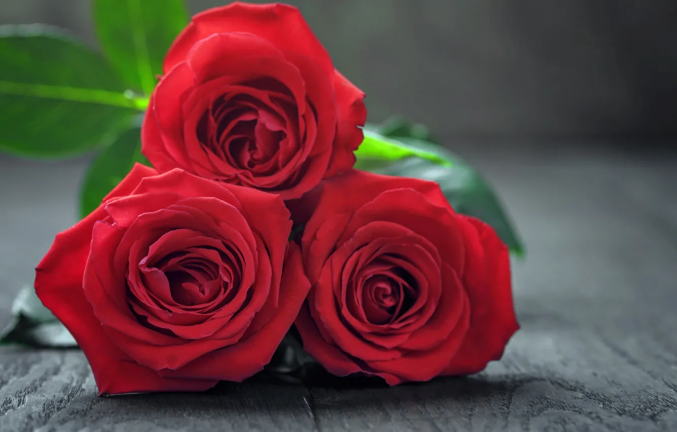 Photo wallpaper bouquet, red, flowers, romantic, valentine's day, roses, red roses