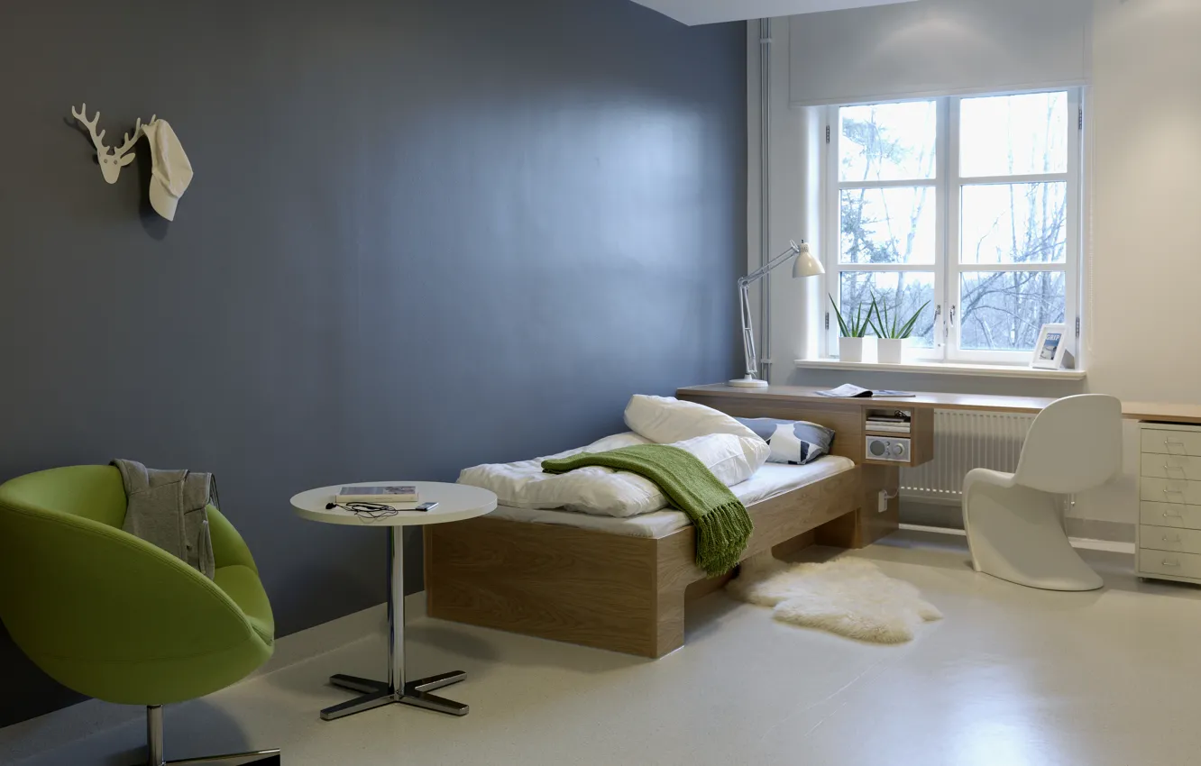 Photo wallpaper table, plant, lamp, chair, pillow, window, bed, pot