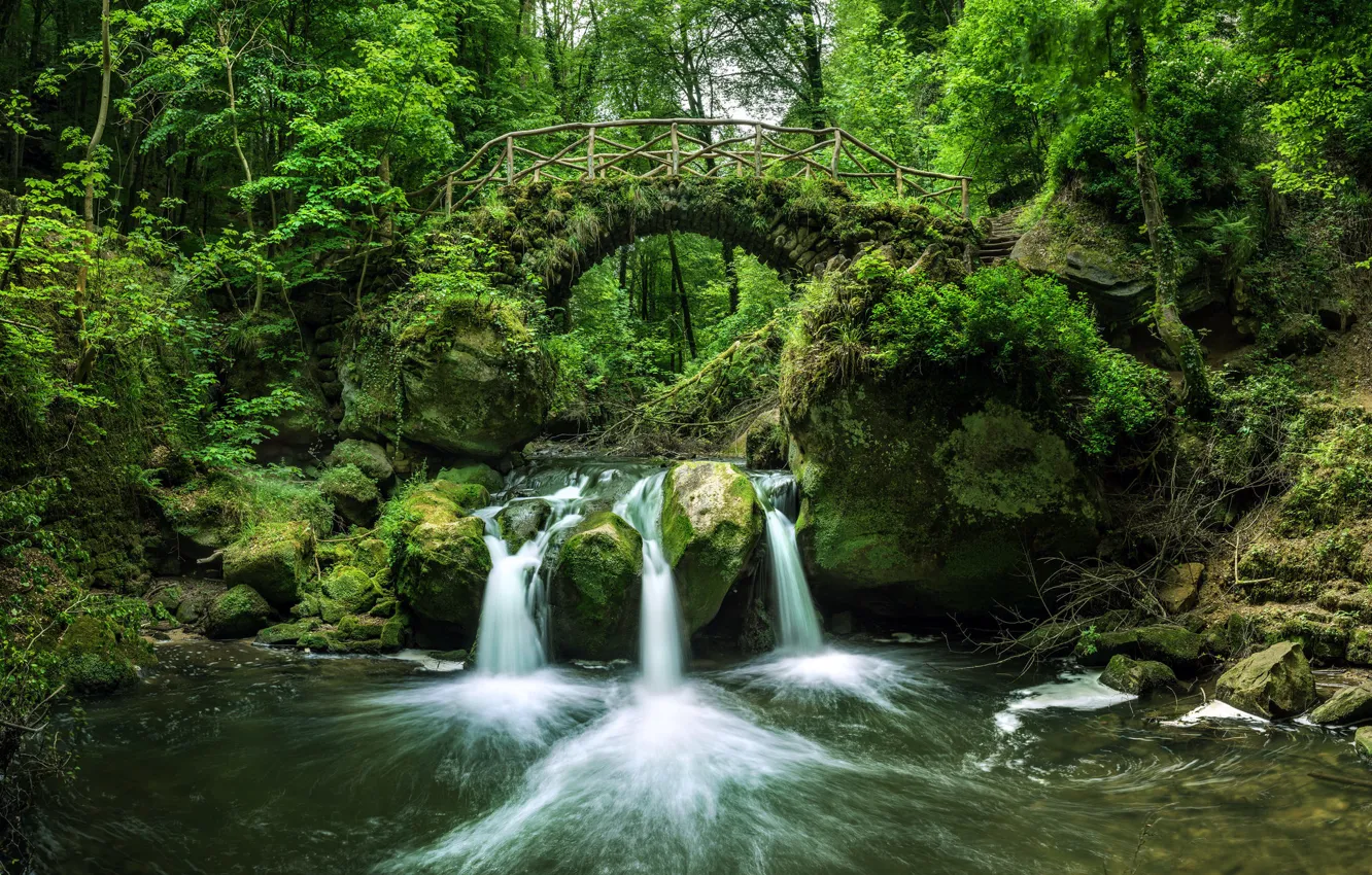 Photo wallpaper forest, bridge, river, waterfall, Luxembourg, Luxembourg, the Black ernz river, Black Ernz river