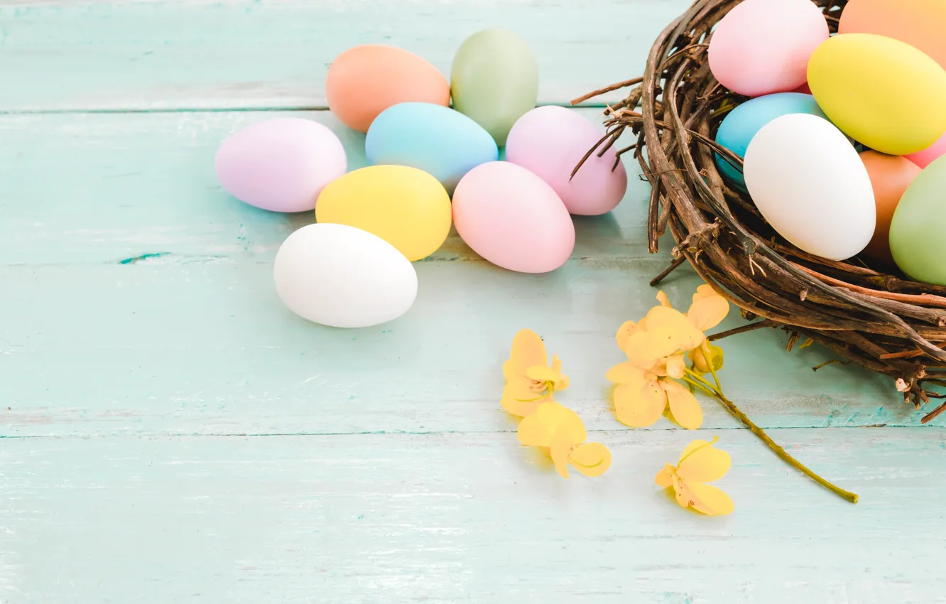 Photo wallpaper flowers, branches, holiday, eggs, Easter, socket