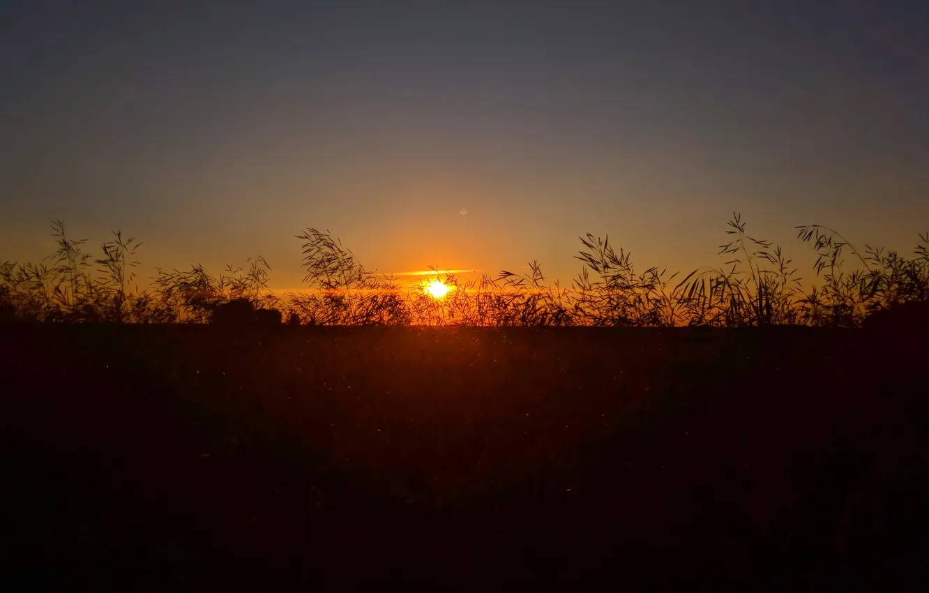 Photo wallpaper the sun, sunset, the evening