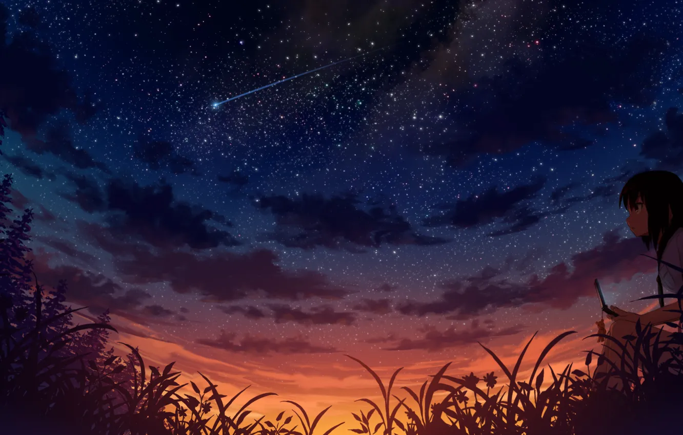 Photo wallpaper girl, night, meteor, art, phone, starry sky, cell phone, sakais3211