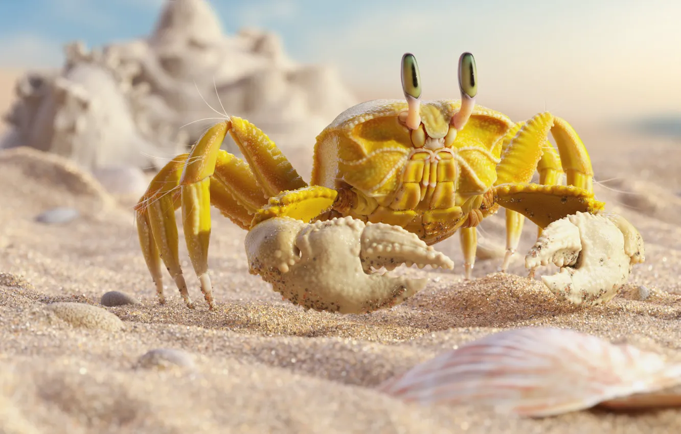 Photo wallpaper sea, beach, summer, crab, art, crab, Mr "Yellow" Crab, Daniel Klepek