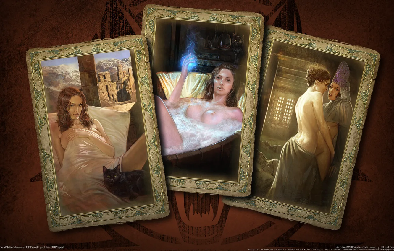 Photo wallpaper girl, map, The Witcher