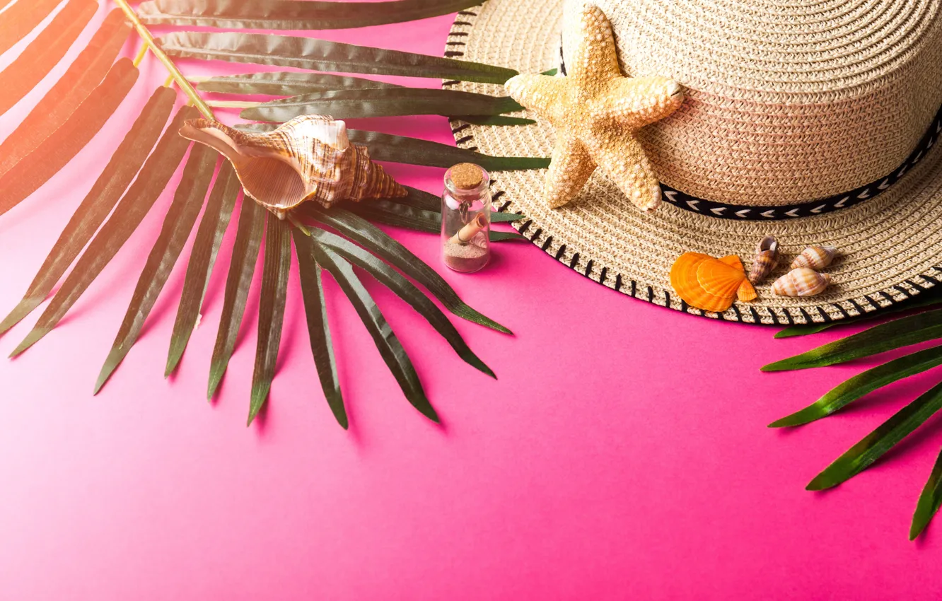 Photo wallpaper sand, leaves, branches, background, hat, Bank, shell, starfish