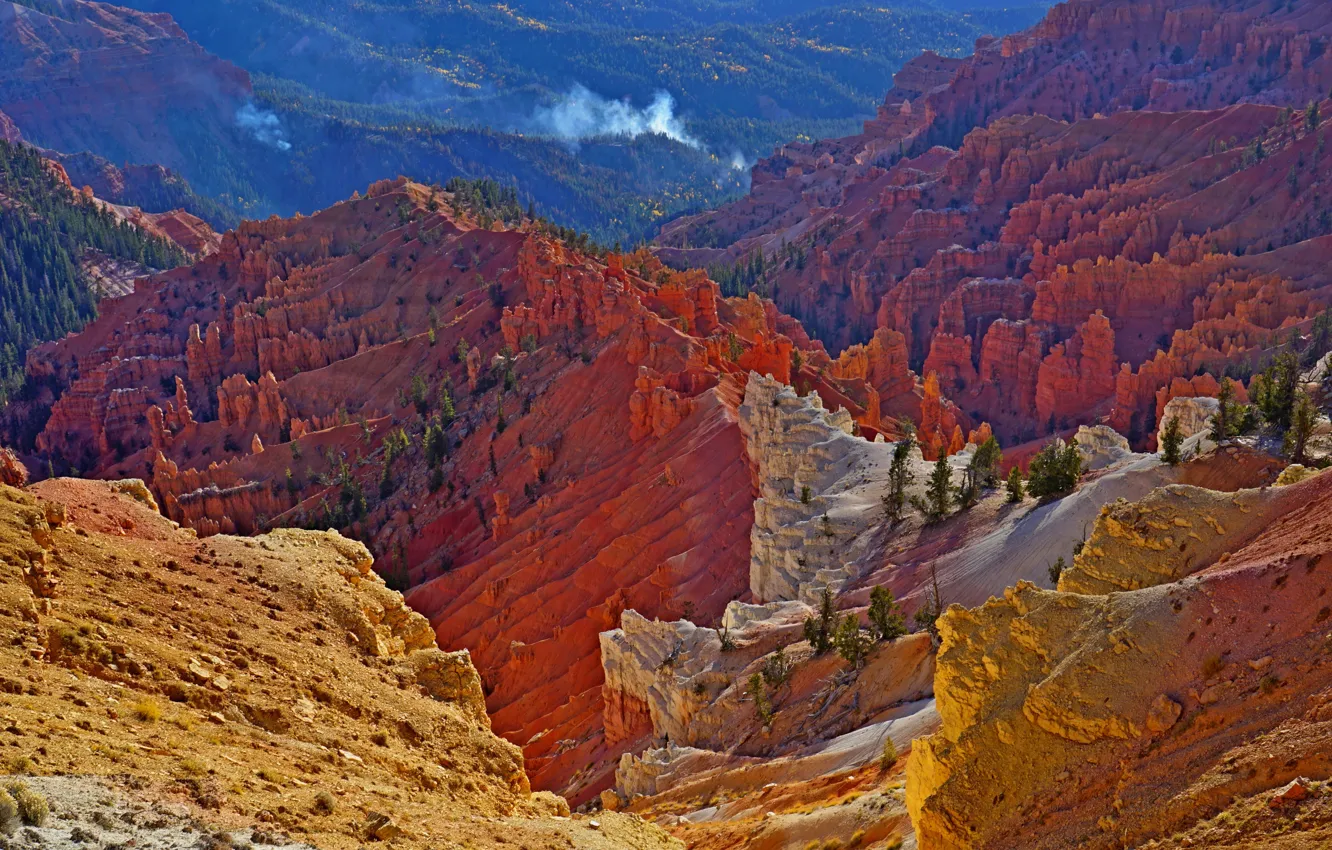 Photo wallpaper forest, mountains, smoke