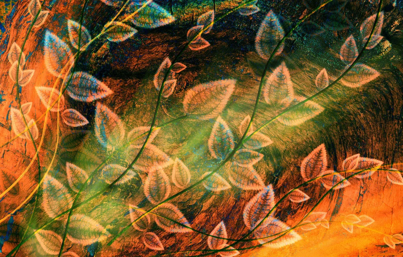 Photo wallpaper autumn, leaves, texture, штрихи