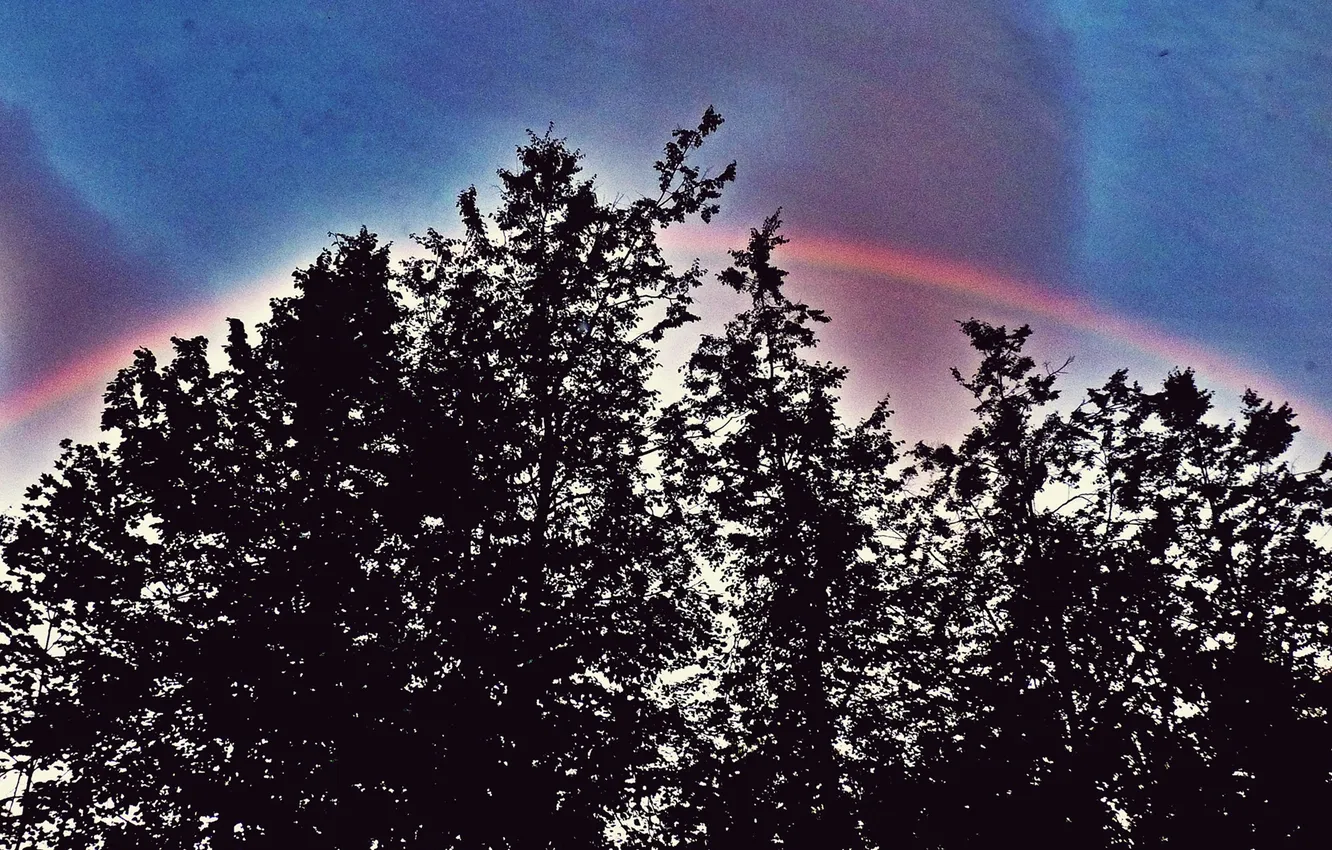 Photo wallpaper landscape, rainbow, Summer 2025