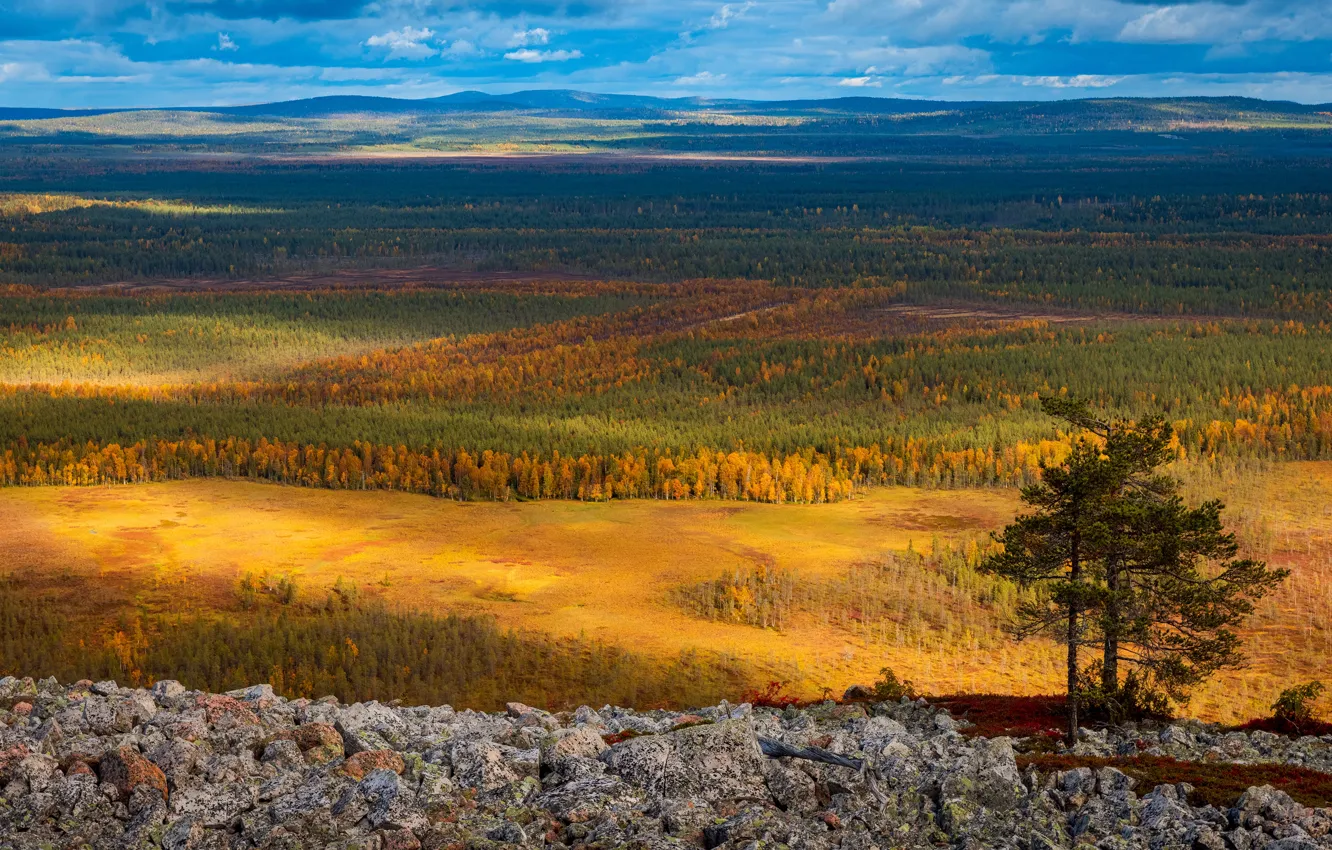Photo wallpaper field, autumn, forest, the sky, clouds, light, trees, mountains