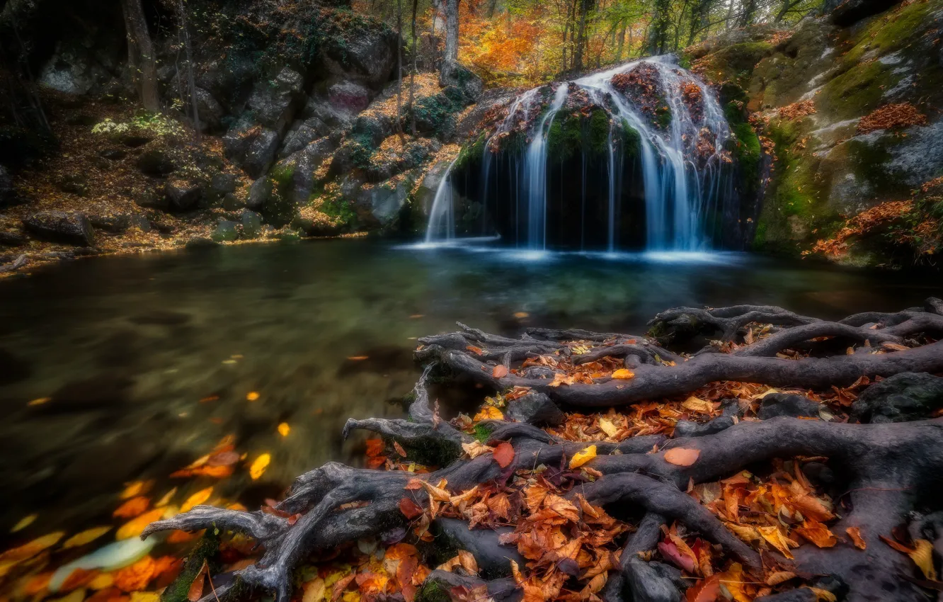 Photo wallpaper autumn, leaves, roots, river, waterfall, Russia, Crimea, fallen leaves